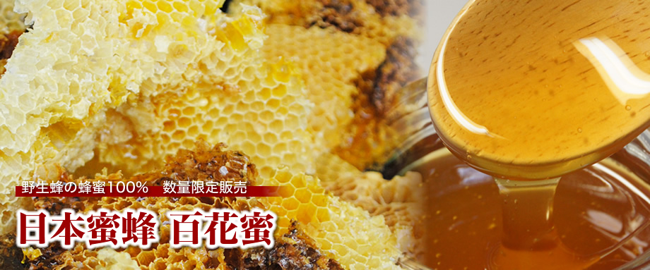 日本蜜蜂　百花蜜