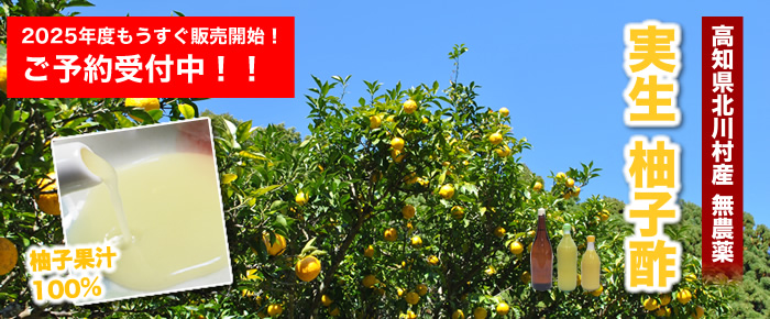 2020年度実生柚子酢(ゆのす)北川村産
